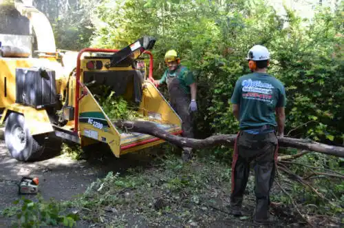 tree services Metlakatla